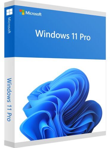 Phần mềm Windows 11 Pro 64-bit OEM (FQC-10528 Win Pro 11 x64 Eng Intl 1pk DSP OEI DVD) | 0222F